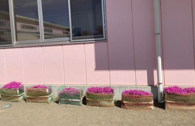 卒園式まであと…。